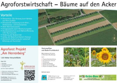 Erste Agroforstfläche im Odenwald bei Michelstadt (abgeschlossen)